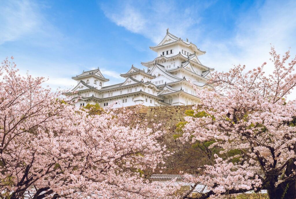 Sakura Spots-20 Himeji Castle