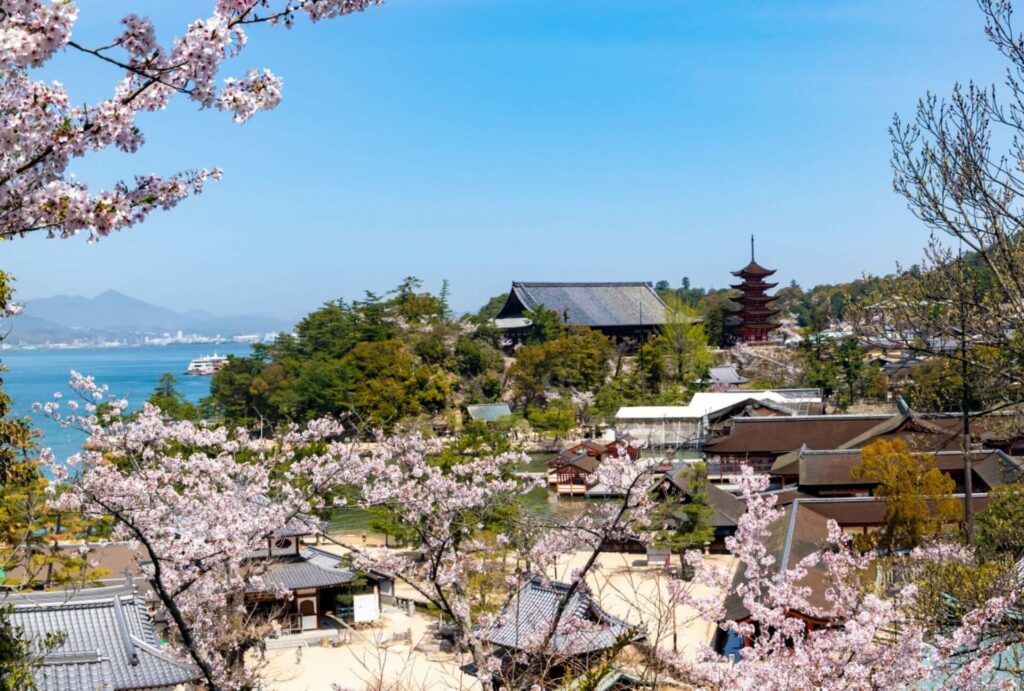 Sakura Spots-22 Itsukushima
