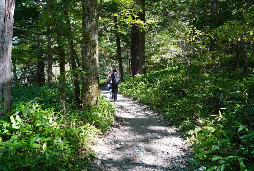 5 Check Point นากาโนะ - คามิโคจิ เส้นทางเดินป่า